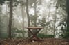 fog foggy forest table