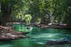 body of water between green leaf trees